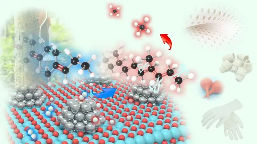 Production of Diethyl Terephthalate from Biomass-Derived Muconic Acid