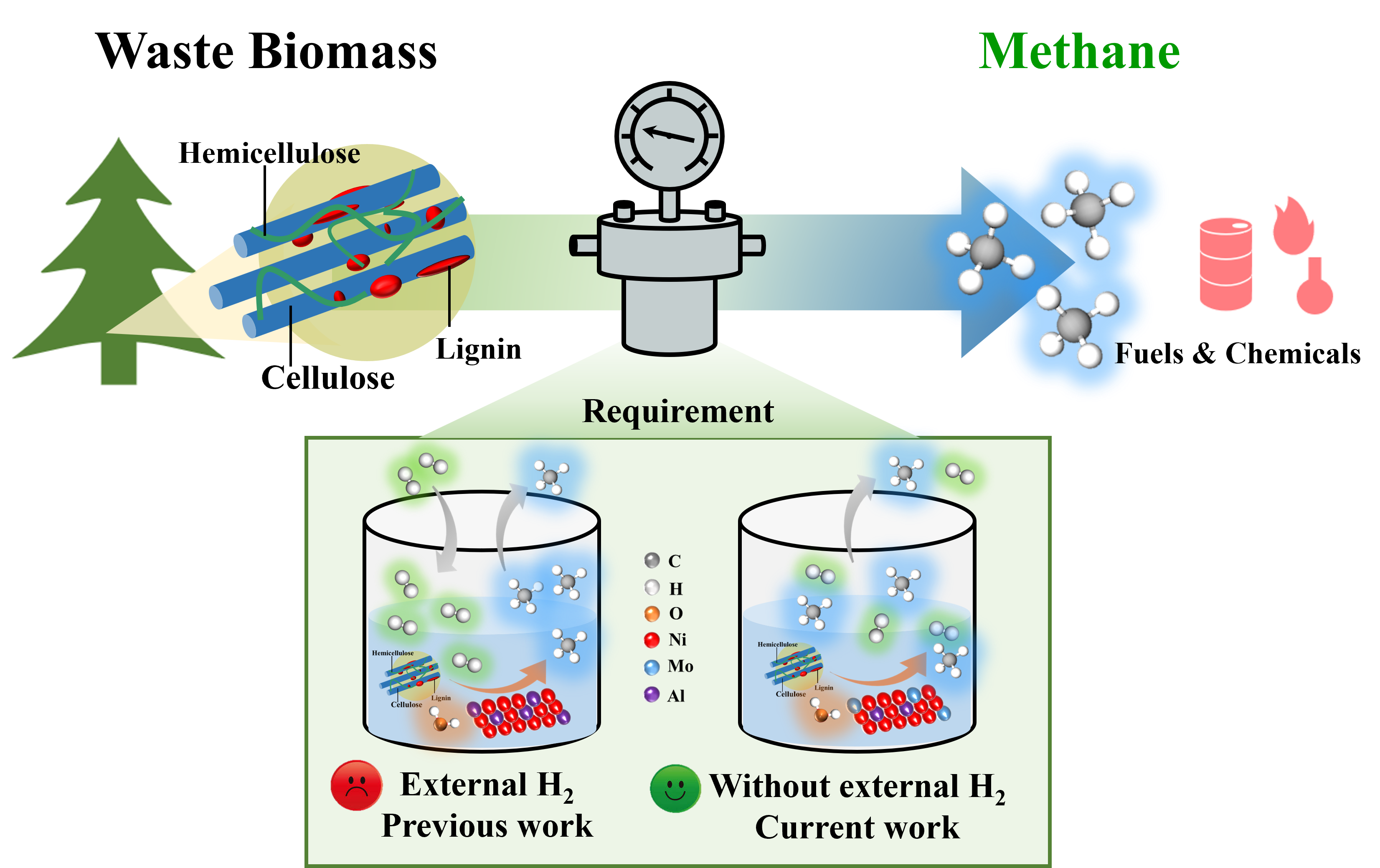 Production of Diethyl Terephthalate from Biomass-Derived Muconic Acid Production of Diethyl Terephthalate from Biomass-Derived Muconic Acid